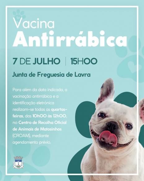 Vacina Antirr&aacute;bica 