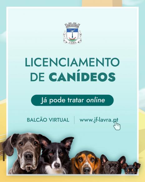 Licenciamento de Can&iacute;deos &ndash; J&aacute; pode tratar online
